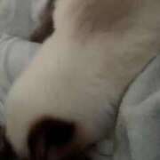 ヒメ日記 2025/07/03 07:39 投稿 PAN『パン』 GG