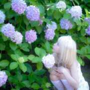 ヒメ日記 2025/07/07 23:49 投稿 PAN『パン』 GG