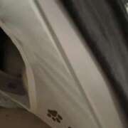 ヒメ日記 2025/08/08 08:29 投稿 PAN『パン』 GG