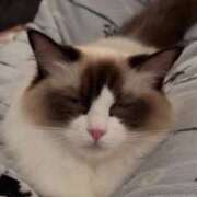 ヒメ日記 2025/08/12 12:19 投稿 PAN『パン』 GG