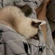 ヒメ日記 2025/08/25 23:22 投稿 PAN『パン』 GG