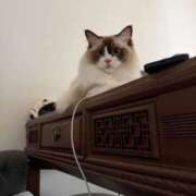 ヒメ日記 2025/09/02 08:59 投稿 PAN『パン』 GG