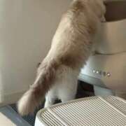 ヒメ日記 2025/09/14 10:29 投稿 PAN『パン』 GG