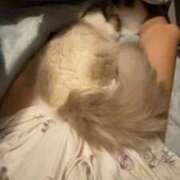 ヒメ日記 2025/09/21 09:03 投稿 PAN『パン』 GG