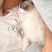 ヒメ日記 2025/09/22 12:59 投稿 PAN『パン』 GG