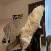 ヒメ日記 2025/10/05 12:09 投稿 PAN『パン』 GG