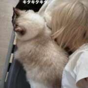 ヒメ日記 2025/10/06 11:29 投稿 PAN『パン』 GG