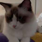 ヒメ日記 2025/10/07 08:59 投稿 PAN『パン』 GG