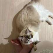 ヒメ日記 2025/10/08 10:18 投稿 PAN『パン』 GG