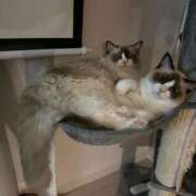 ヒメ日記 2025/10/18 06:09 投稿 PAN『パン』 GG