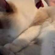 ヒメ日記 2025/10/23 15:22 投稿 PAN『パン』 GG