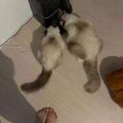 ヒメ日記 2025/11/06 21:09 投稿 PAN『パン』 GG