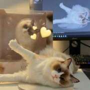 ヒメ日記 2025/11/12 12:29 投稿 PAN『パン』 GG