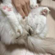 ヒメ日記 2025/11/23 00:30 投稿 PAN『パン』 GG