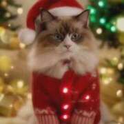 ヒメ日記 2025/11/23 12:02 投稿 PAN『パン』 GG