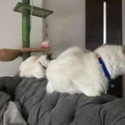 ヒメ日記 2025/11/28 09:29 投稿 PAN『パン』 GG