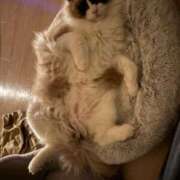 ヒメ日記 2025/12/06 14:49 投稿 PAN『パン』 GG