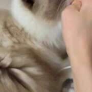 ヒメ日記 2025/12/23 18:59 投稿 PAN『パン』 GG