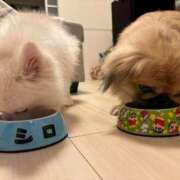 ヒメ日記 2025/02/07 16:19 投稿 RIKO『リコ』 GG