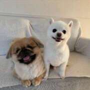 ヒメ日記 2025/04/07 02:09 投稿 RIKO『リコ』 GG