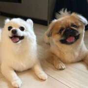 ヒメ日記 2025/09/22 08:59 投稿 RIKO『リコ』 GG