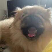 RIKO『リコ』 あけましておめでとうございます☀️ GG