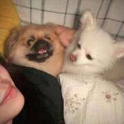 ヒメ日記 2026/01/18 19:39 投稿 RIKO『リコ』 GG