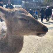 ヒメ日記 2026/02/21 21:29 投稿 RIKO『リコ』 GG