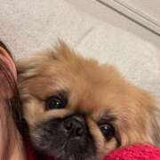 ヒメ日記 2026/02/22 16:29 投稿 RIKO『リコ』 GG