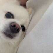 RIKO『リコ』 お休み中です🕊️ GG