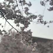 ヒメ日記 2026/04/02 13:19 投稿 RIKO『リコ』 GG