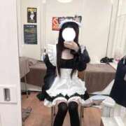 ヒメ日記 2025/11/07 17:18 投稿 皇 ねこ 聖リッチ女学園