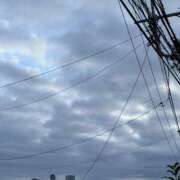 ヒメ日記 2025/10/12 14:27 投稿 瀬名 川崎三浦屋