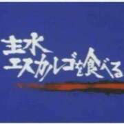 ヒメ日記 2025/03/07 09:30 投稿 ふみか チェックイン横浜女学園