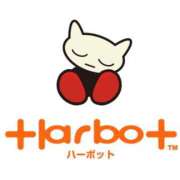 ヒメ日記 2025/03/10 10:22 投稿 ふみか チェックイン横浜女学園