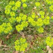 ヒメ日記 2025/04/01 11:30 投稿 ふみか チェックイン横浜女学園