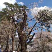 ヒメ日記 2025/04/04 13:23 投稿 ふみか チェックイン横浜女学園