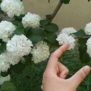 ヒメ日記 2025/05/21 07:00 投稿 ふみか チェックイン横浜女学園