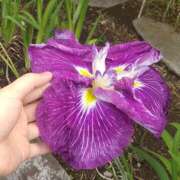 ヒメ日記 2025/06/02 15:45 投稿 ふみか チェックイン横浜女学園