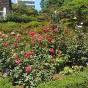 ヒメ日記 2025/07/10 19:01 投稿 ふみか チェックイン横浜女学園