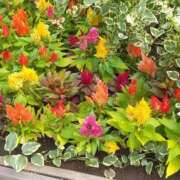 ヒメ日記 2025/07/13 14:43 投稿 ふみか チェックイン横浜女学園