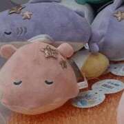 ヒメ日記 2025/08/25 21:01 投稿 ふみか チェックイン横浜女学園