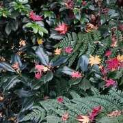 ヒメ日記 2025/11/29 12:04 投稿 ふみか チェックイン横浜女学園