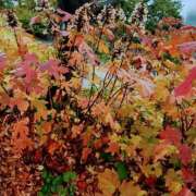 ヒメ日記 2025/12/06 10:31 投稿 ふみか チェックイン横浜女学園