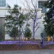 ヒメ日記 2026/02/07 08:31 投稿 ふみか チェックイン横浜女学園