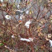 ヒメ日記 2026/02/12 14:02 投稿 ふみか チェックイン横浜女学園