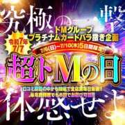 ヒメ日記 2025/07/08 15:46 投稿 えみる ドMバスターズ岡崎・安城・豊田店