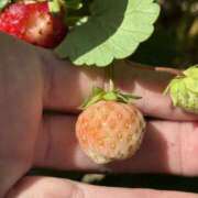 ヒメ日記 2025/09/06 09:36 投稿 めろ エロティックマッサージ 錦糸町