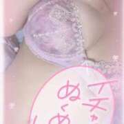 ヒメ日記 2026/01/17 15:02 投稿 れんな 30分3900円！サンキュー静岡店（サンキューグループ）