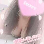 ヒメ日記 2026/02/05 05:12 投稿 れんな 30分3900円！サンキュー静岡店（サンキューグループ）